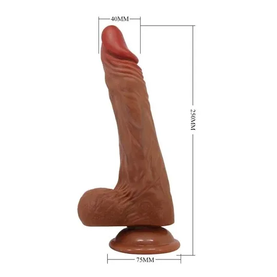 D-242893 BAILE VIBRATORS