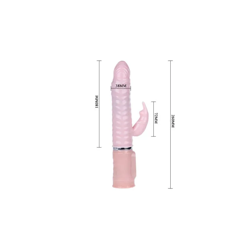 D-195921 BAILE
