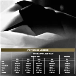 D-231436 PENTHOUSE TEDDY