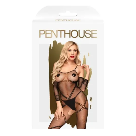 D-227738 PENTHOUSE BODYSTOCKINGS