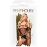 D-227738 PENTHOUSE BODYSTOCKINGS