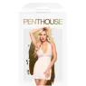 D-227714 PENTHOUSE CHEMISE