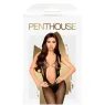 D-227518 PENTHOUSE BODYSTOCKINGS