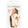 D-227586 PENTHOUSE BABYDOLL