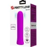D-237412 PRETTY LOVE C-TYPE