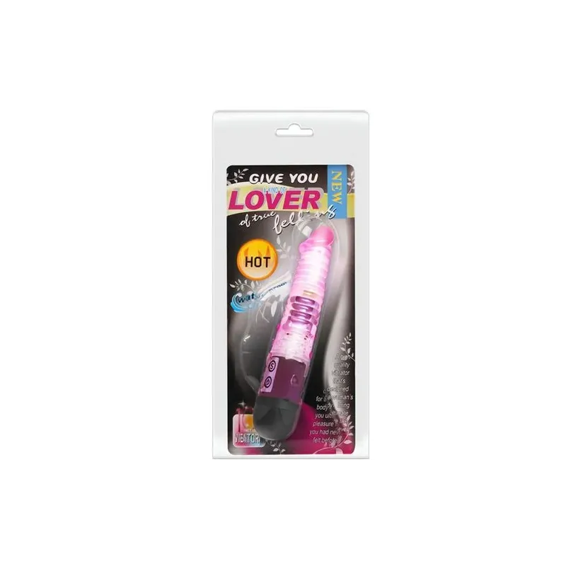 D-219209 BAILE VIBRATORS