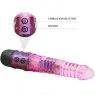 D-219209 BAILE VIBRATORS