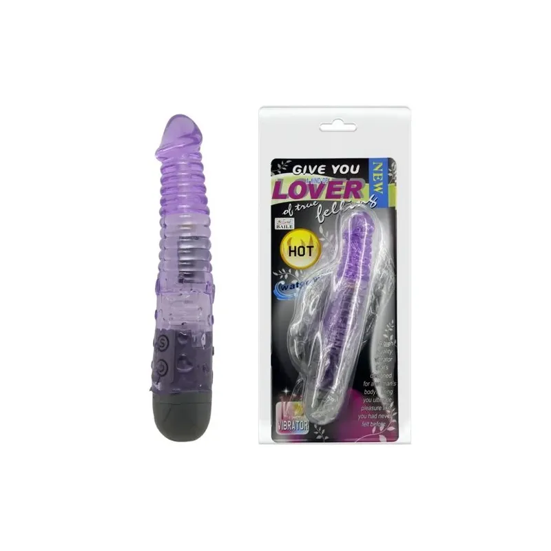 D-219210 BAILE VIBRATORS