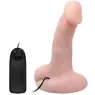 D-219162 BAILE VIBRATORS