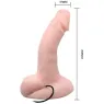 D-219162 BAILE VIBRATORS