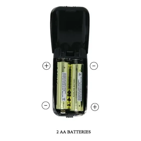 D-219162 BAILE VIBRATORS