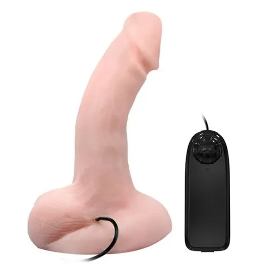 D-219162 BAILE VIBRATORS