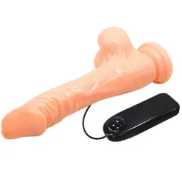 D-219165 BAILE VIBRATORS