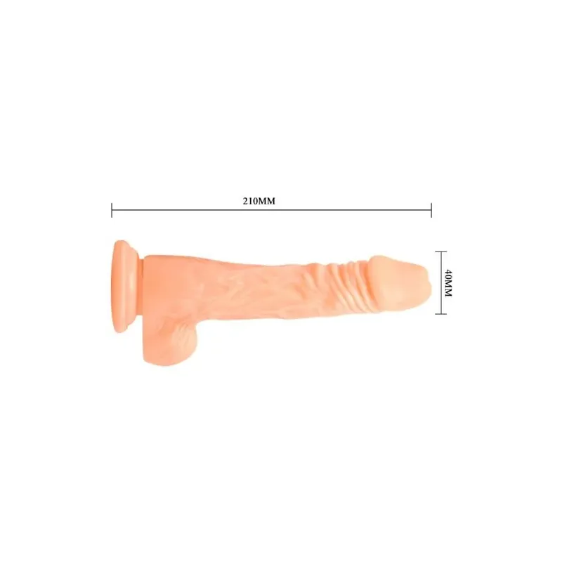D-219165 BAILE VIBRATORS