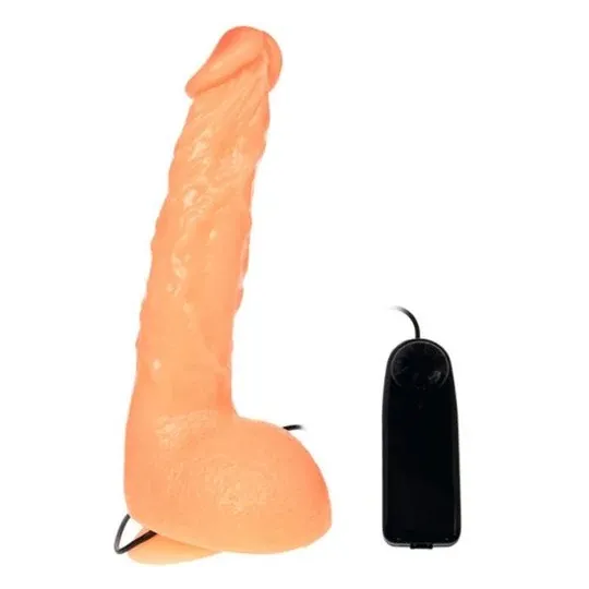 D-218837 BAILE VIBRATORS