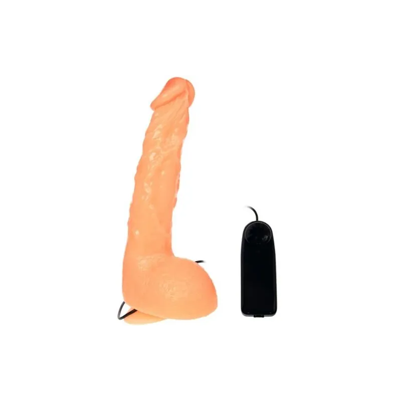 D-218837 BAILE VIBRATORS