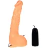 D-218837 BAILE VIBRATORS