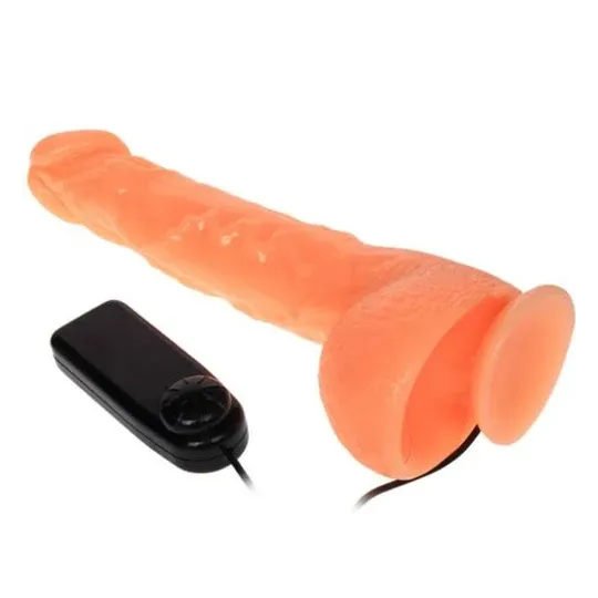 D-218837 BAILE VIBRATORS