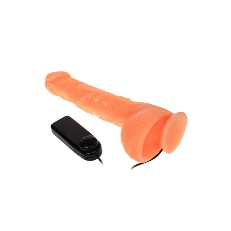D-218837 BAILE VIBRATORS
