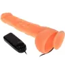 D-218837 BAILE VIBRATORS
