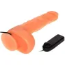D-218837 BAILE VIBRATORS