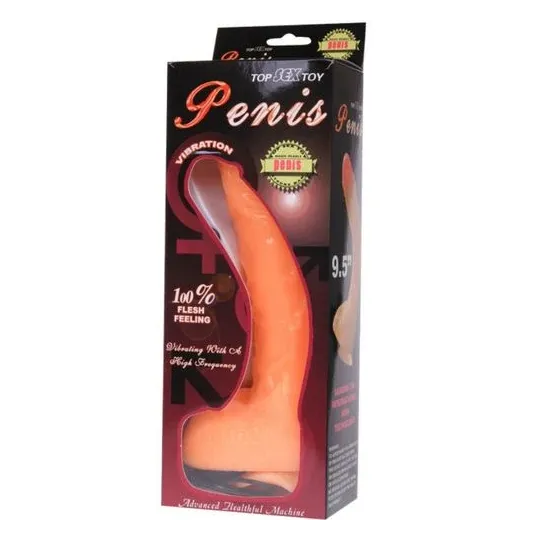 D-218837 BAILE VIBRATORS