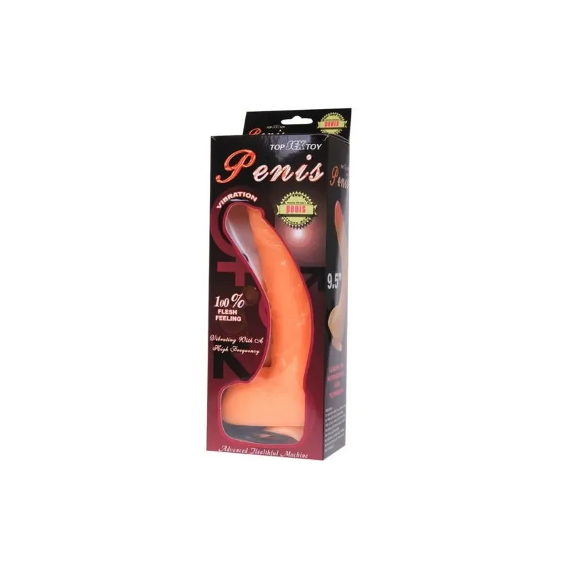 D-218837 BAILE VIBRATORS