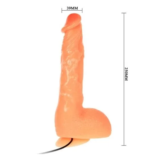 D-218837 BAILE VIBRATORS