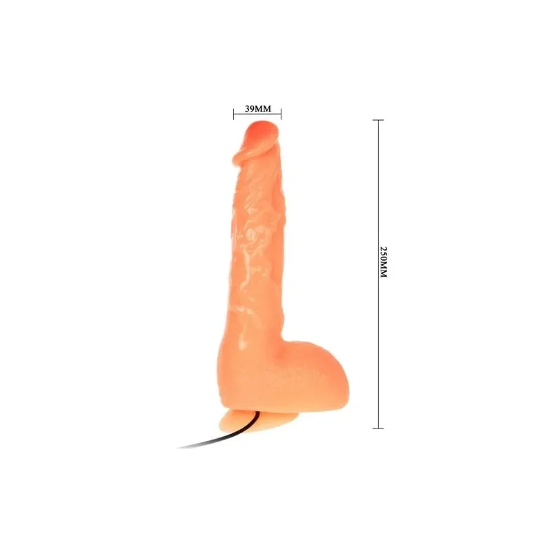 D-218837 BAILE VIBRATORS