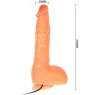 D-218837 BAILE VIBRATORS