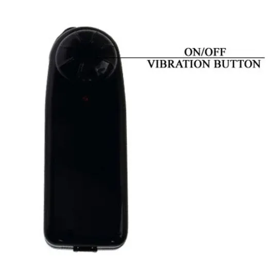 D-218837 BAILE VIBRATORS