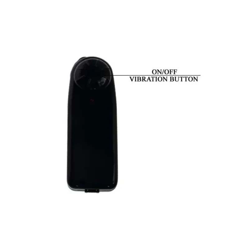 D-218837 BAILE VIBRATORS
