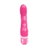D-205179 BAILE VIBRATORS