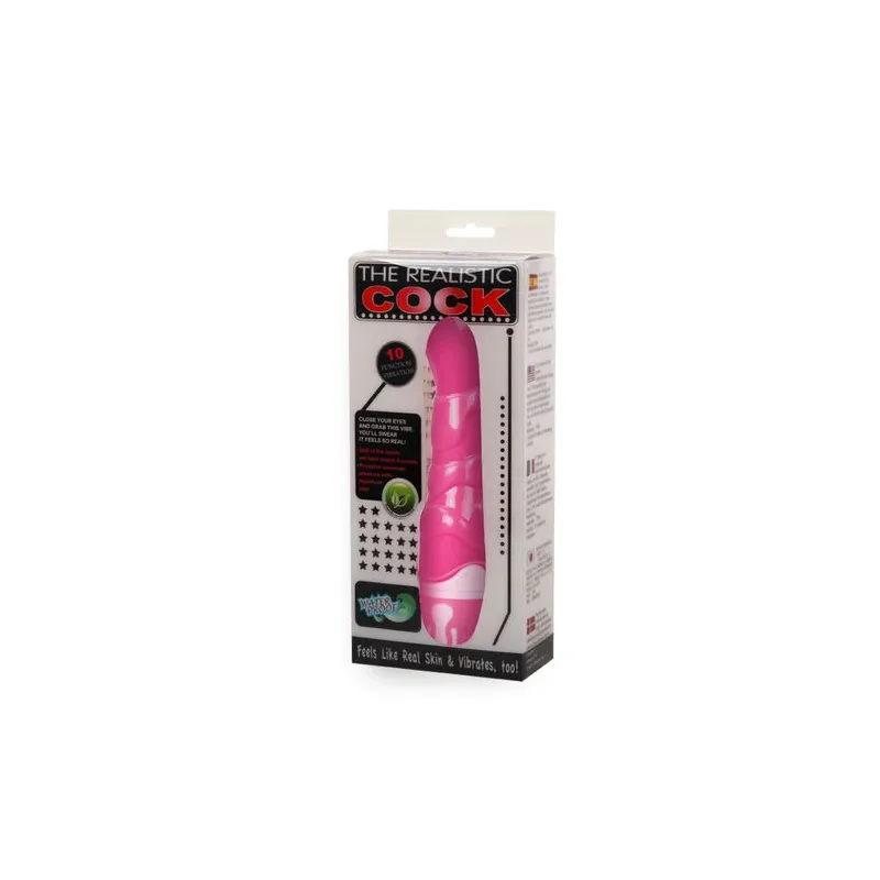 D-205179 BAILE VIBRATORS