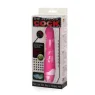 D-205179 BAILE VIBRATORS