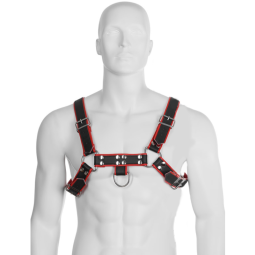 BDSM Leder Harness mit Kette schwarz rot blau – LEATHER BODY | nussen