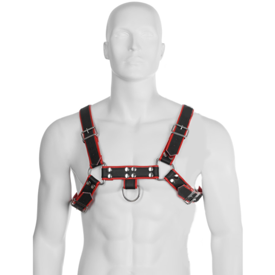 Harnais BDSM chaîne noir rouge bleu – LEATHER BODY | nussen.fr