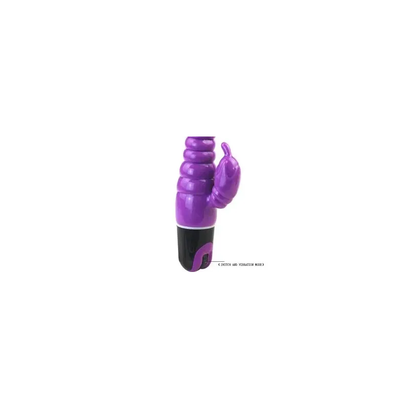 D-194498 BAILE VIBRATORS