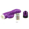D-194498 BAILE VIBRATORS