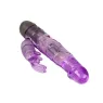 D-219208 BAILE VIBRATORS