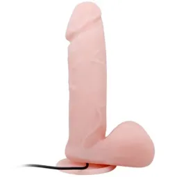 D-220009 BAILE VIBRATORS