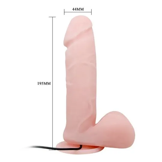 D-220009 BAILE VIBRATORS