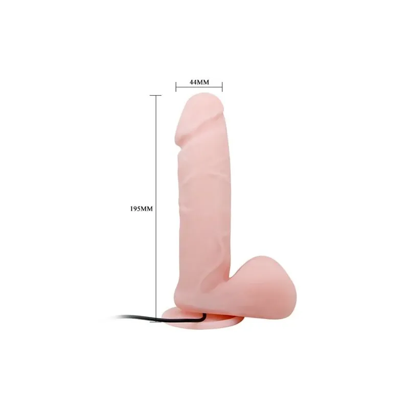 D-220009 BAILE VIBRATORS
