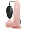 D-220009 BAILE VIBRATORS