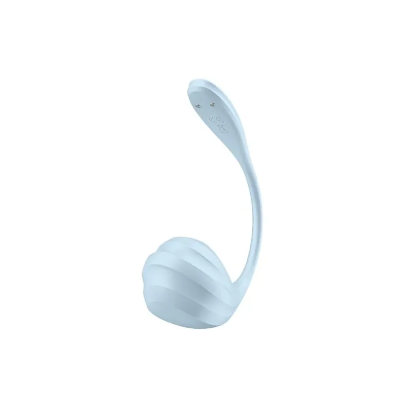 D-239490 SATISFYER PARTNER
