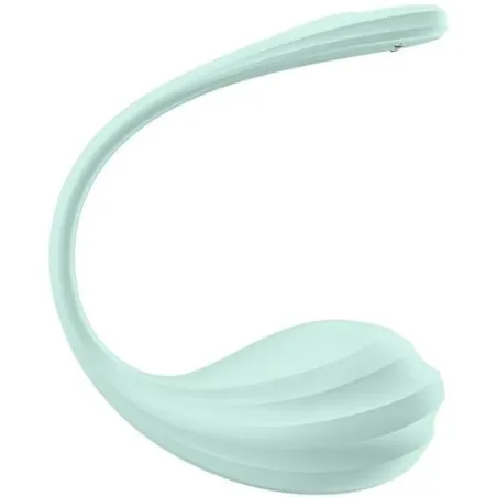 D-239489 SATISFYER PARTNER
