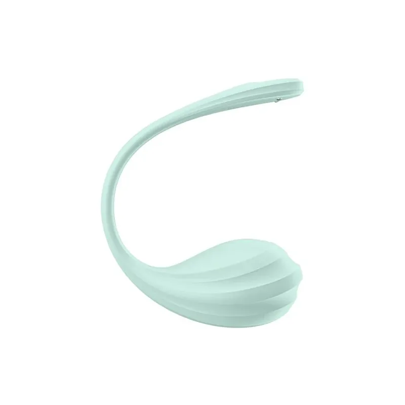 D-239489 SATISFYER PARTNER