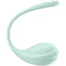 D-239489 SATISFYER PARTNER