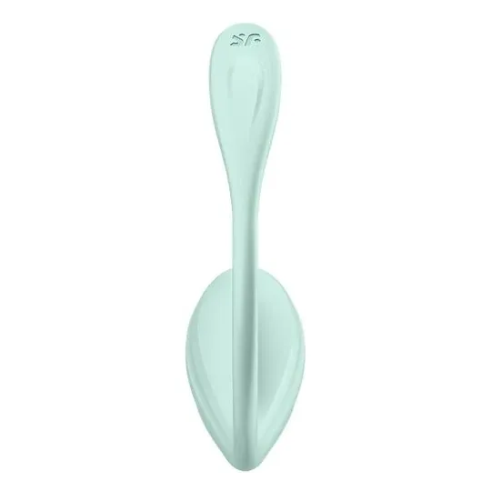 D-239489 SATISFYER PARTNER
