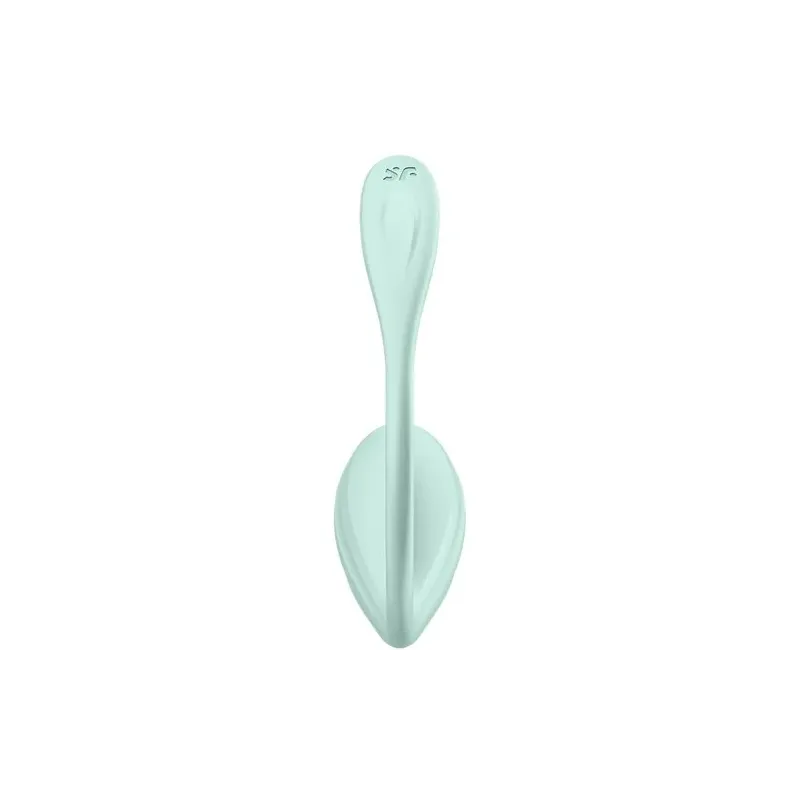 D-239489 SATISFYER PARTNER